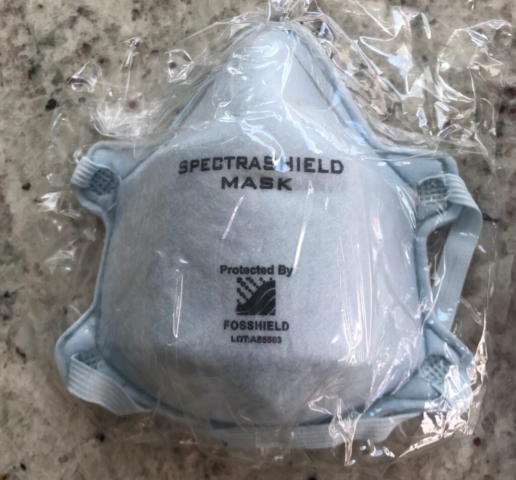 Fake Masks COVID19 Training & Testing Services